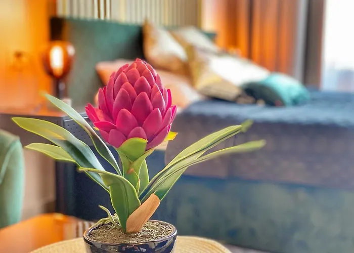 Czarny Z Jacuzzi شقة كراكوفيا