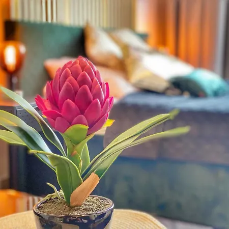 Czarny Z Jacuzzi Lejlighed Kraków